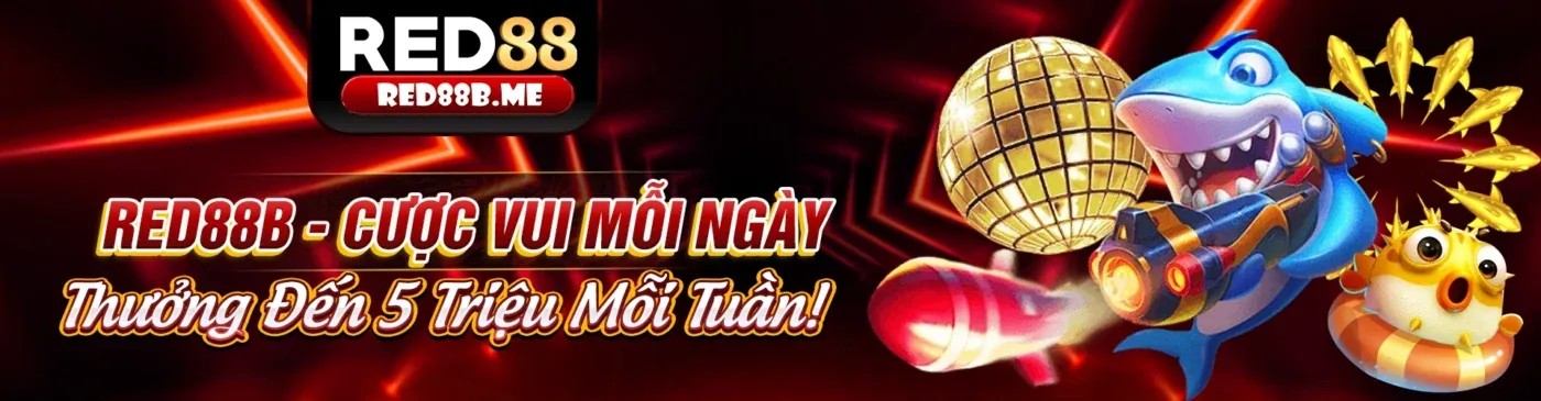 Hình ảnh chính 88king win: Hướng dẫn đăng ký và chơi an toàn